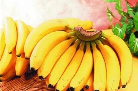 西双版纳香蕉批发_西双版纳特产香蕉干哪里买_西双版纳柏创农业发展有限公司